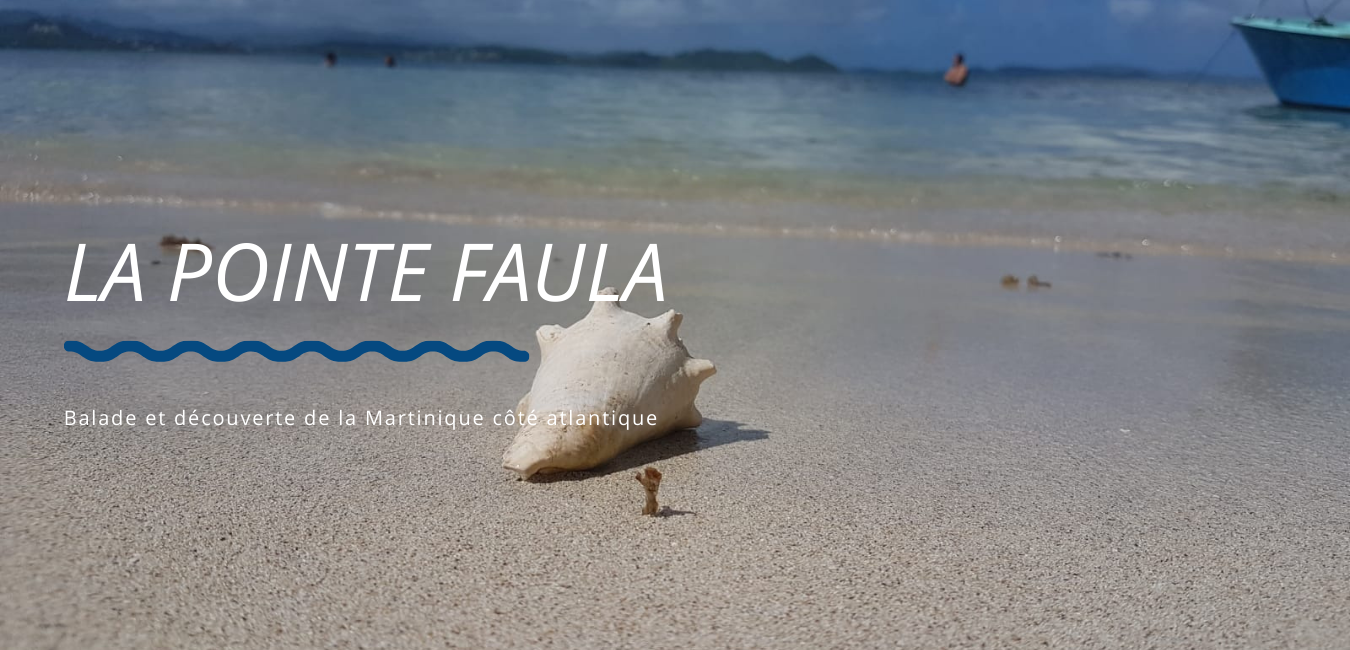 sortie kayak pirogue ou paddle à la découverte de la Martinique: La Pointe Faula - fonds blancs