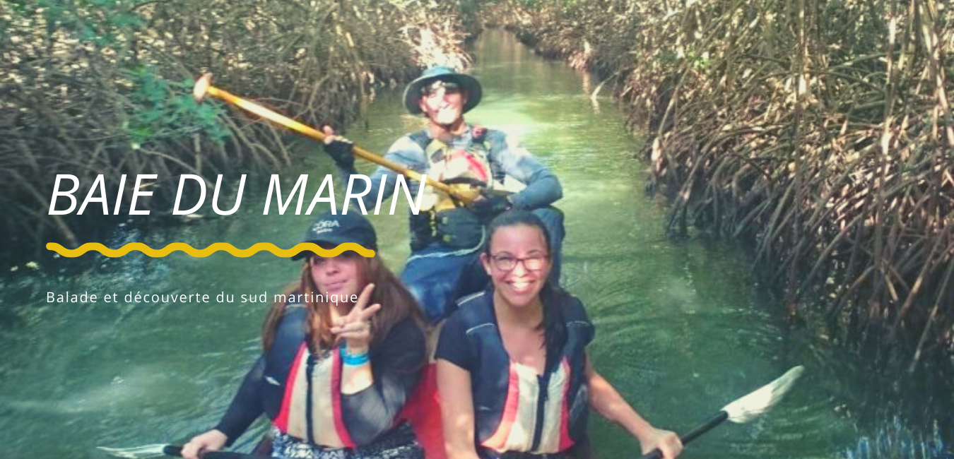 Sortie kayak découverte de la mangrove de la baie du Marin