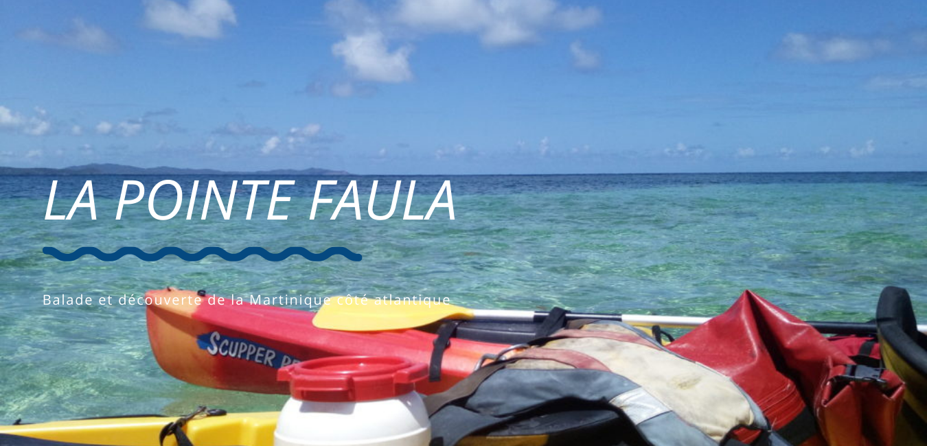 La sortie kayak à la Pointe Faula: les fonds blancs de Martinique
