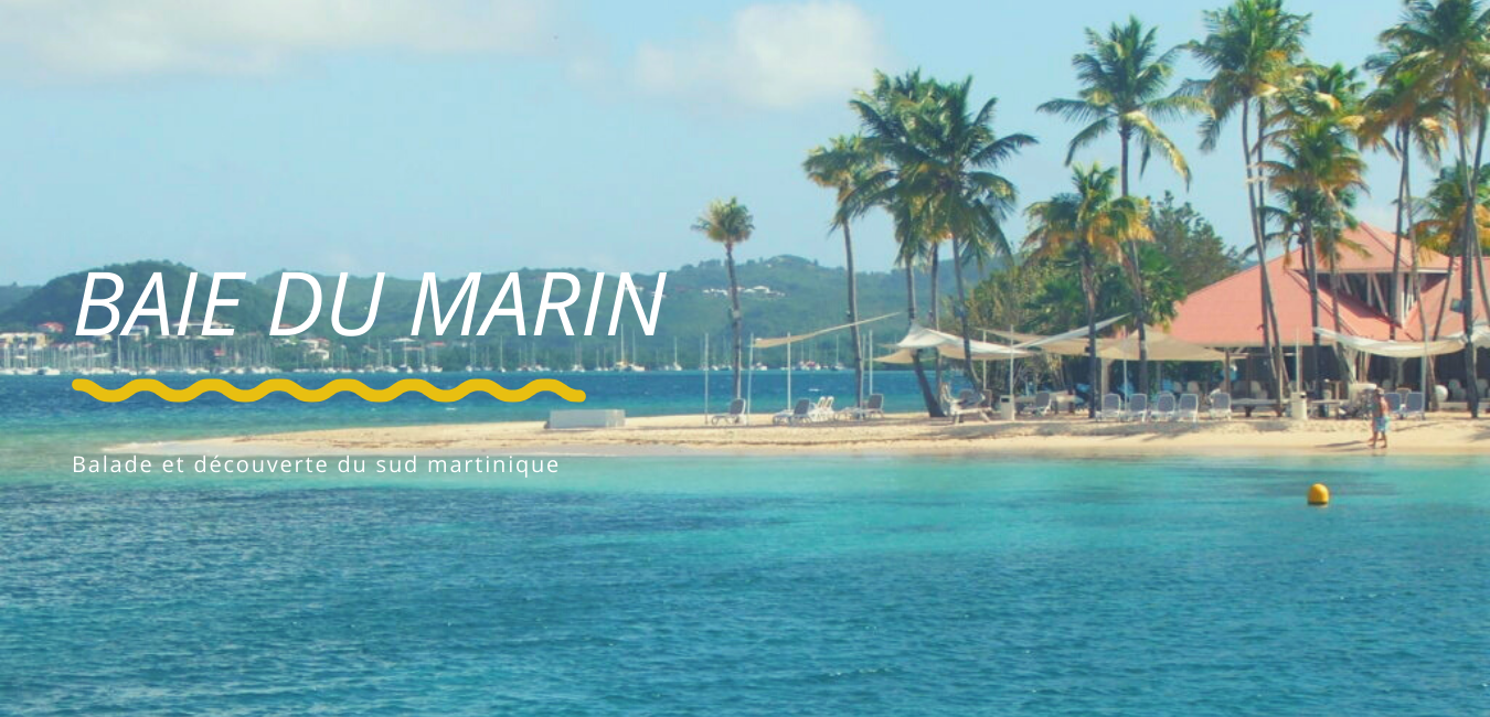 La sortie en pirogue ou kayak dans la baie du Marin en Martinique: mangrove et baignade