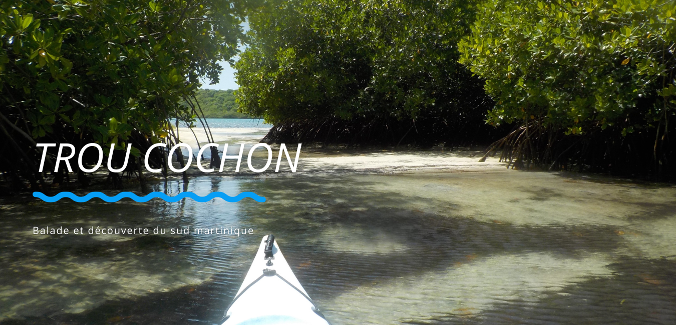Sortie en kayak dans la mangrove de la Baie du Marin en Martinique
