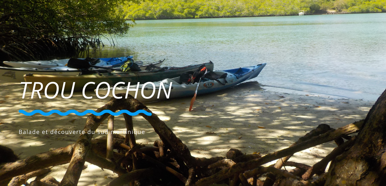 Sortie kayak: Fonds blancs de Martinique - Trou cochon